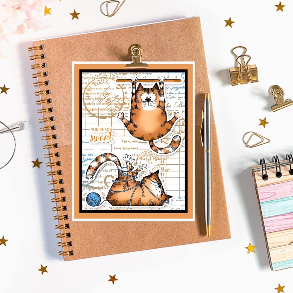 8.3x5.8in แมวล้างแสตมป์แมวน่าร - Clear Silicone Stamps For Card Making บทวิจารณ์และราคา