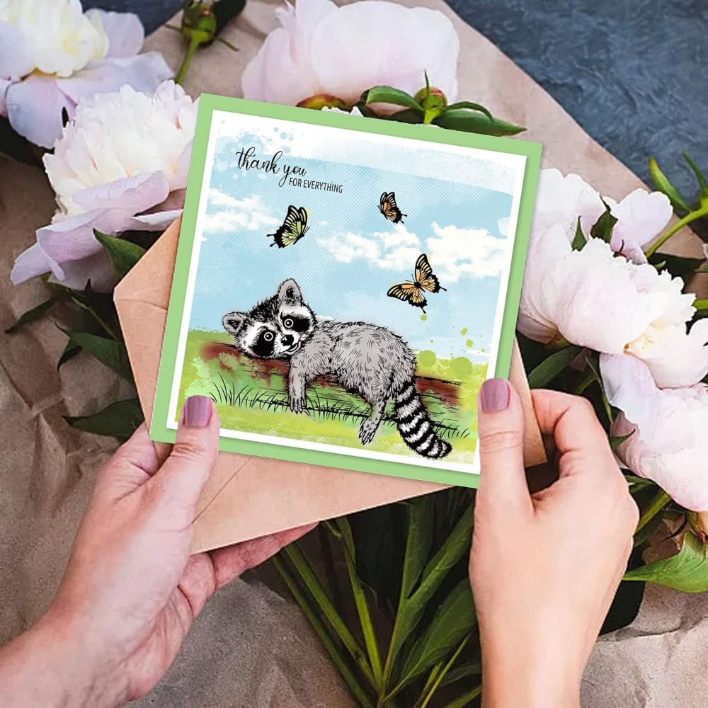 แรคคูนที่เหมือนจริงแสตมป์ใสรูป - Clear Silicone Stamps For Card Making บทวิจารณ์และราคา